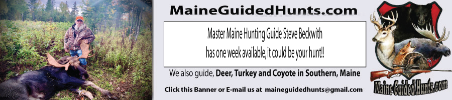 Moose Hunting with Maine Master Guide Steve Beckwith